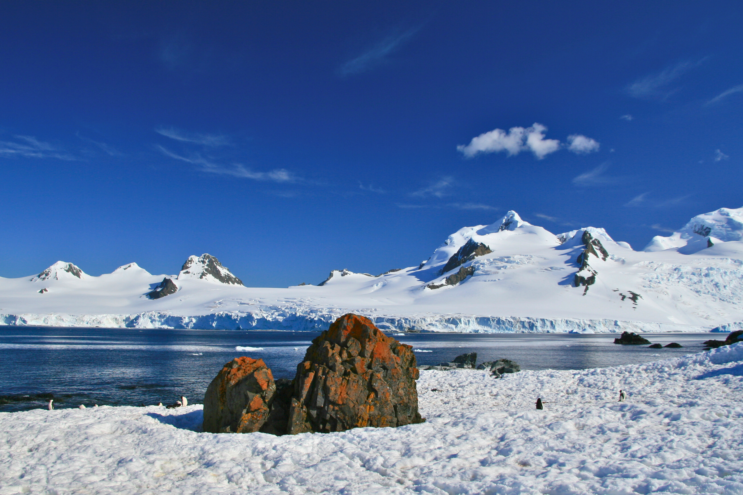 110 half moon island.webp